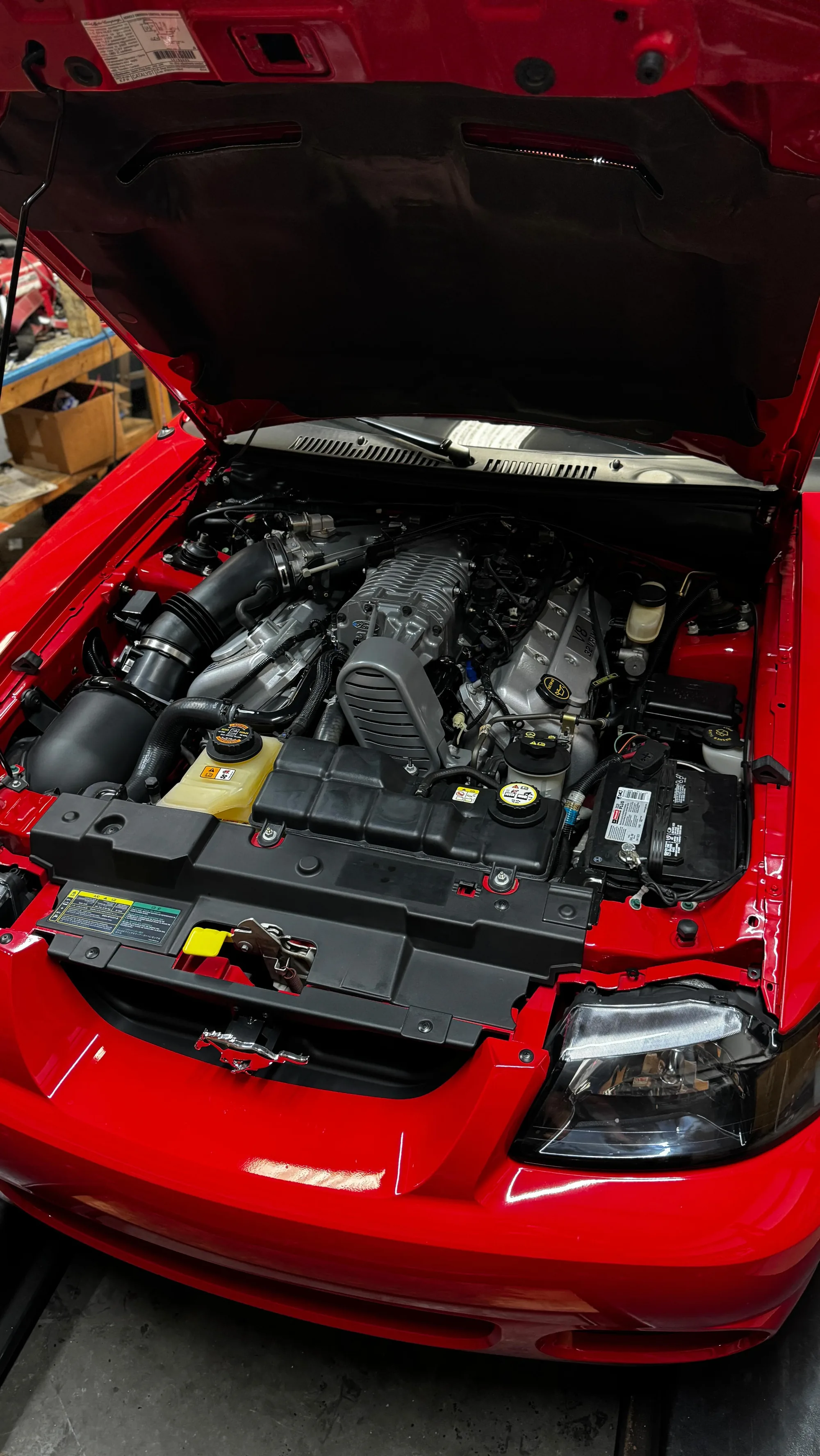 A 2003 Cobra Terminator engine bay, factory original