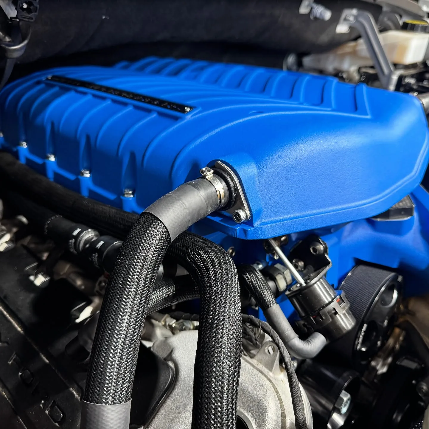 A Whipple supercharger installed on a Ford 5.0