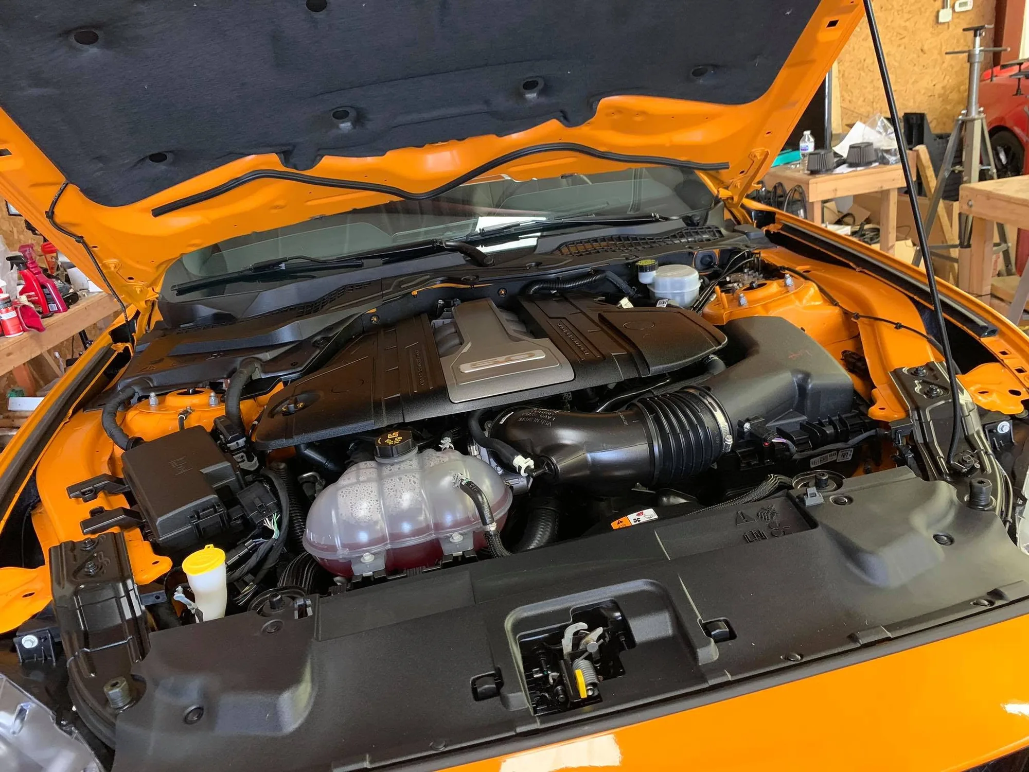 A supercharged Coyote in an orange Mustang GT